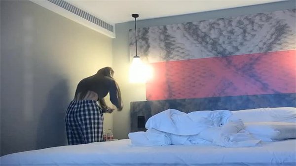 国内视频在线-高清视频在线观看高清