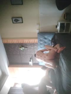 日本zoZ〇zoZ〇人交-高清电影在线视频网