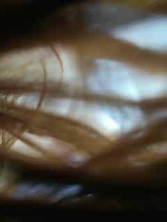 理论片91-BD韩语成人在线观看免费