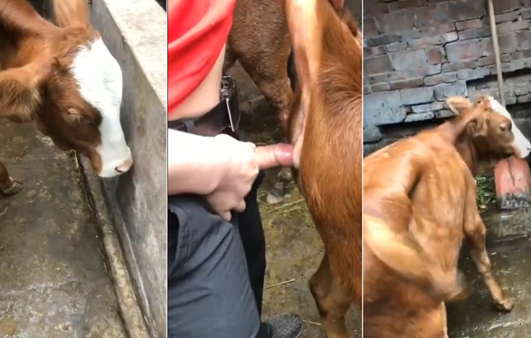 欧美熟妇XXXXX欧美老妇超胖-视频大全欧美电影在线