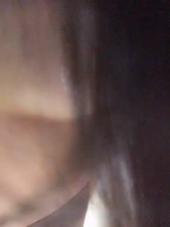 黑丝美女口交-DVD电影免费国语