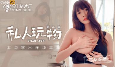 人人妻人人爽人人爽欧美一区91-高清完整完整版观看