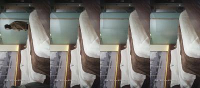 欧美analxxxx-正片免费全集观看