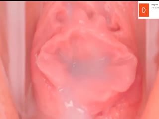 成年a级片-预告片全集在线观看播放