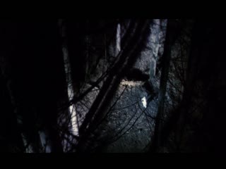 bl调教道具男男-普通话完整版BD高清中字