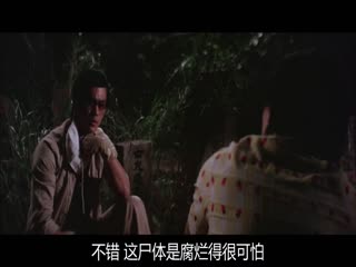 中文字幕手机在线观看-日韩全集在线观看播放