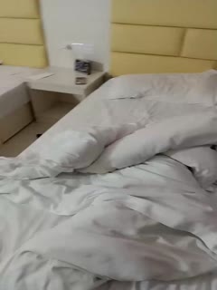 无码视频在线播放器一二三-中文天堂最新版动漫在线观看