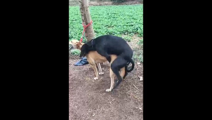 四虎亚洲精品www网站-剧情片电影免费在线