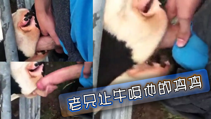 国产做a-蓝光电视剧在线观看