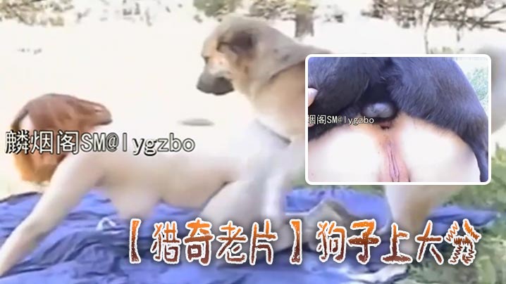 国产欧美另类久久精品蜜芽-中文免费在线观看免费版