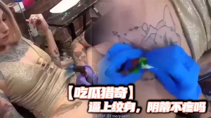 秋霞手机入口-1080P在线观看视频
