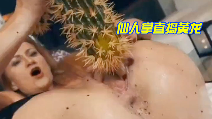 厨房春潮小说第1章-迅雷视频免费观看