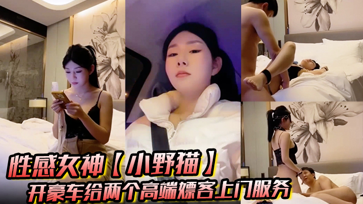 暗黑者3在线观看免费观看完整版-2019国语磁力搜索