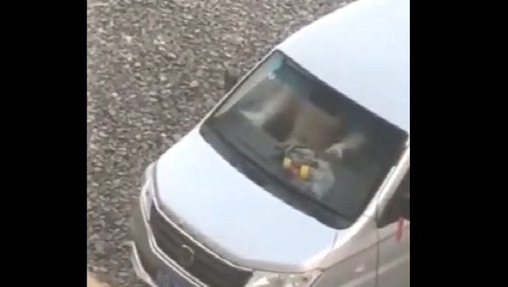 三级三级三级a级全黄-bt电影天堂高清无删减WWW