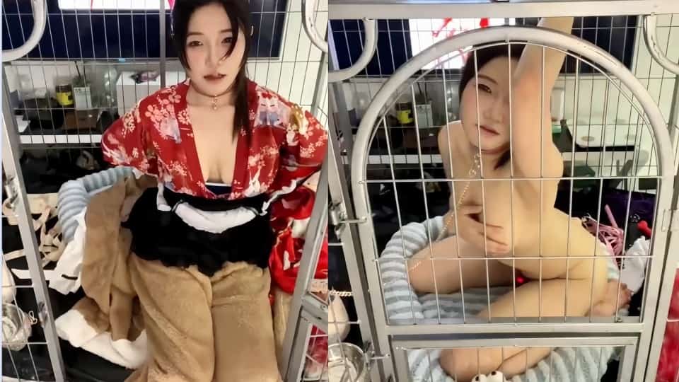 free av hd-最新电影影视大全视频