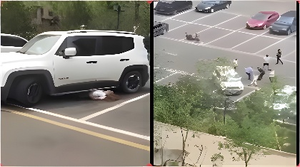 天堂一区二区三区18+-看看屋日韩在线观看