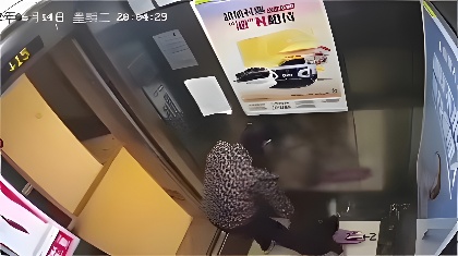 欧美成gv人毛片-高清独播全集在线观看