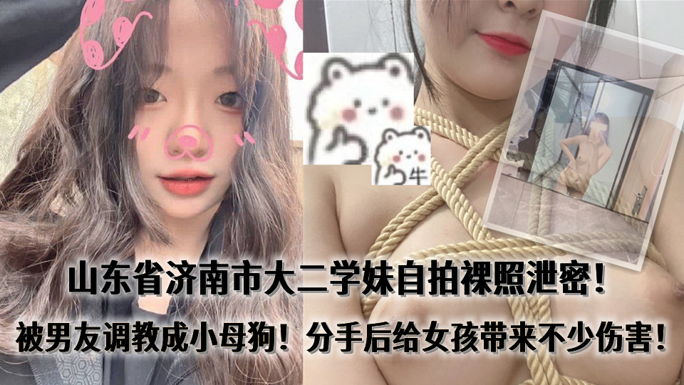 97超碰在线观看在线观看-不卡韩剧超清免费观看